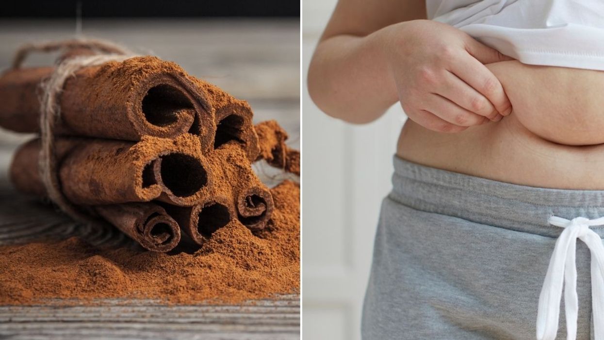 belly fat and cinnamon
