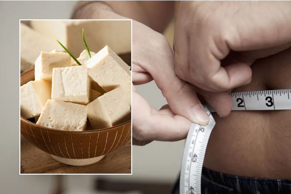 belly fat and tofu