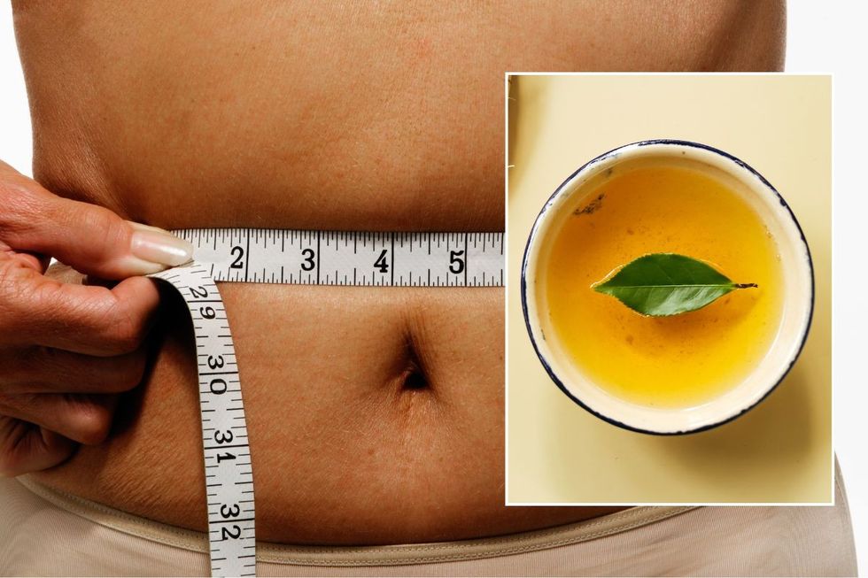 BELLY FAT MEASUREMENT AND GREEN TEA
