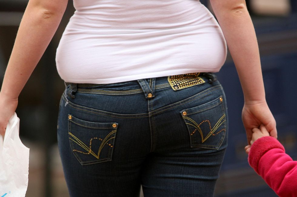 Belly fat