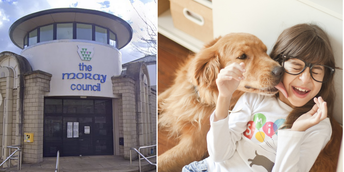 NextImg:Girl could be allowed to bring 'anxiety dog' to school in 'landmark legal case'