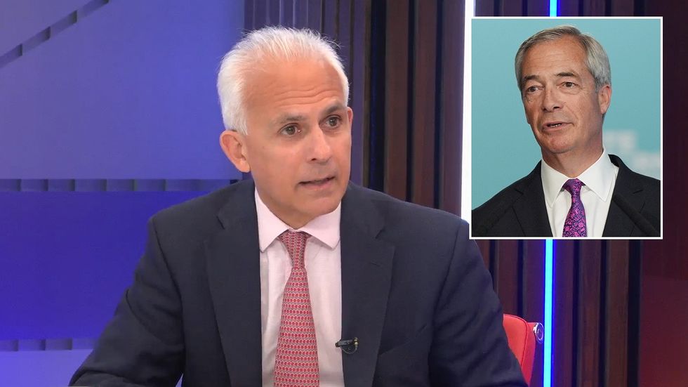Ben Habib, Nigel Farage