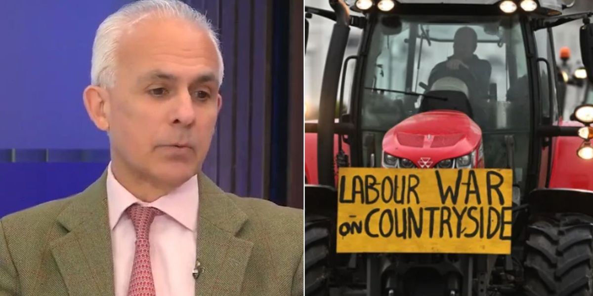 NextImg:Ben Habib calls for a 'complete reassessment' - 'We are trapped in a doom loop!'