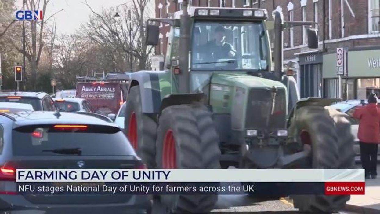 WATCH: Ben Habib says the UK needs a 'complete reassessment' of the economy