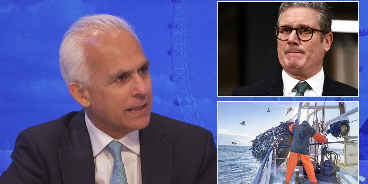 NextImg:'Selling out of the UK!' Ben Habib unleashes FURIOUS rant at 'very dangerous' EU-UK 'reset'
