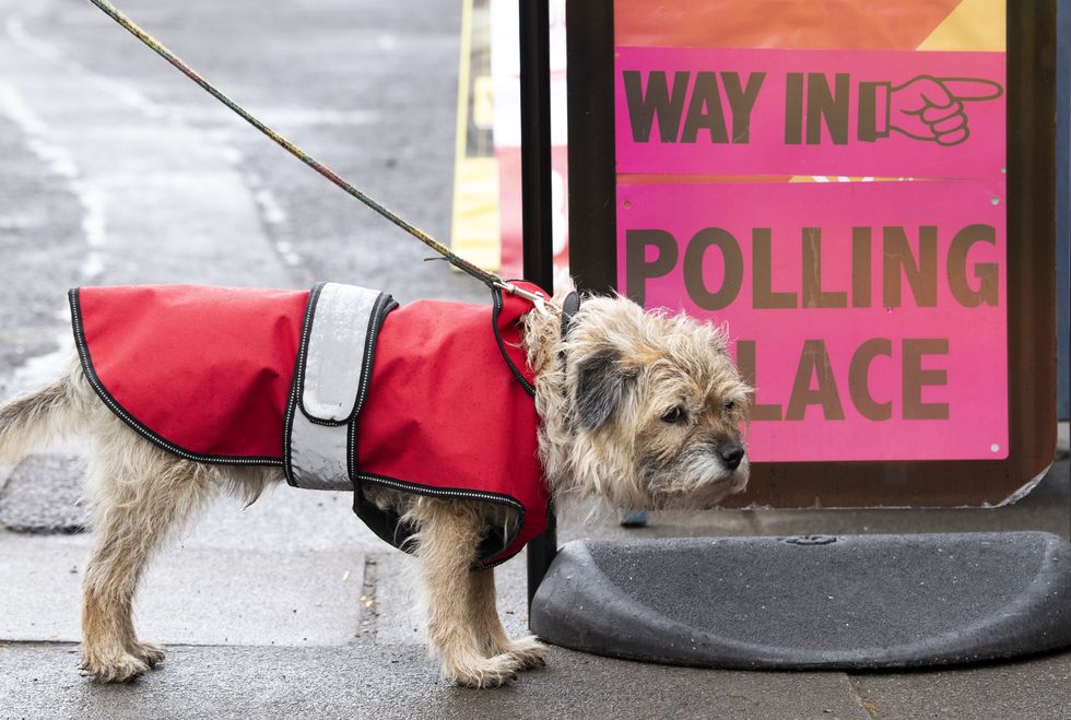 Bertie waits for its owner who is queuing at the polling station at Saint Stephen's Comely Bank Church.