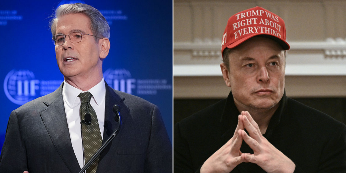 NextImg:Elon Musk 'squared up' to US Treasury secretary amid 'WWE-style shouting match' over IRS appointment