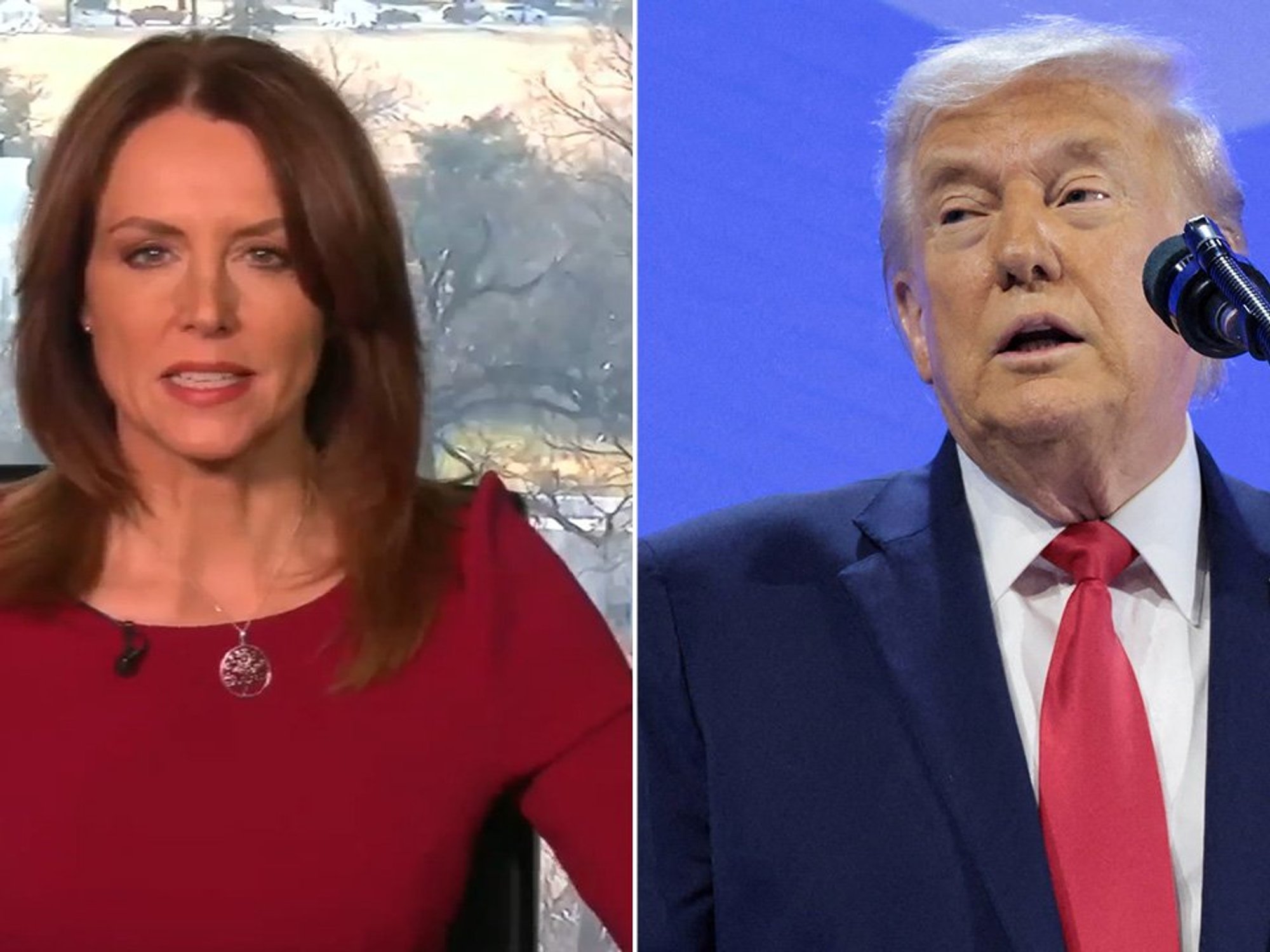 Bev Turner, Donald Trump