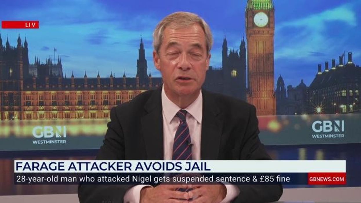 ‘In thirteen years I only feared for my life once - now it’s every day’: Ex-Labour minister fears for MP safety as Farage attacker swerves jail