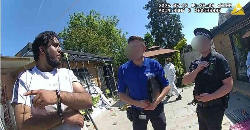 Billericay dog deaths