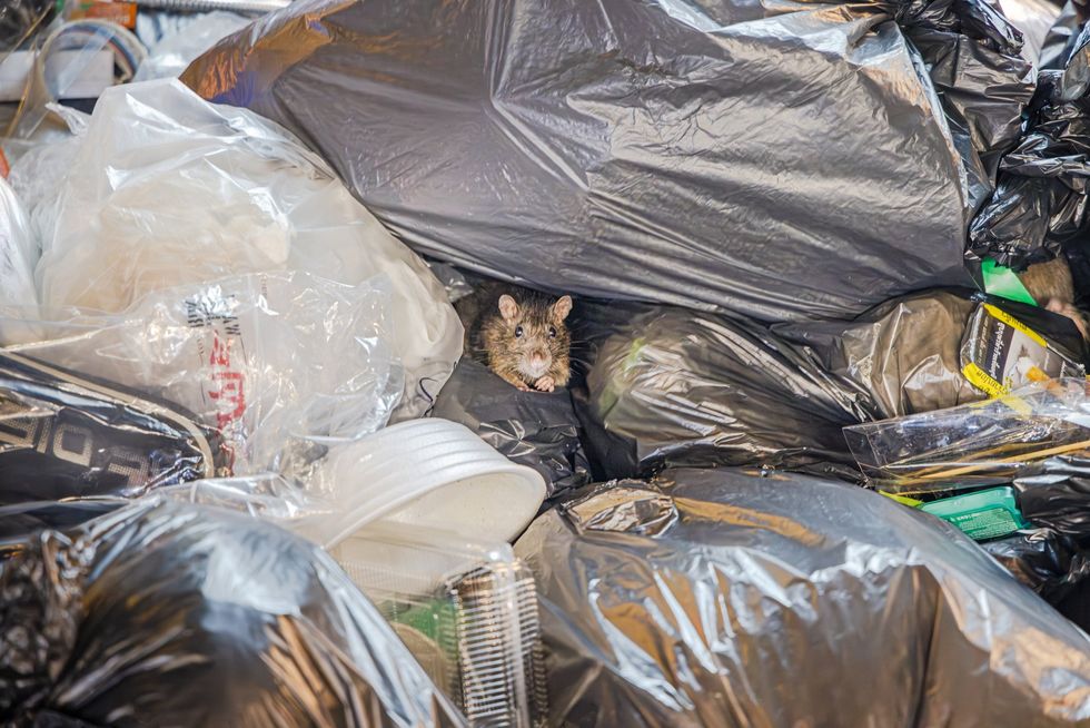 Bin bag