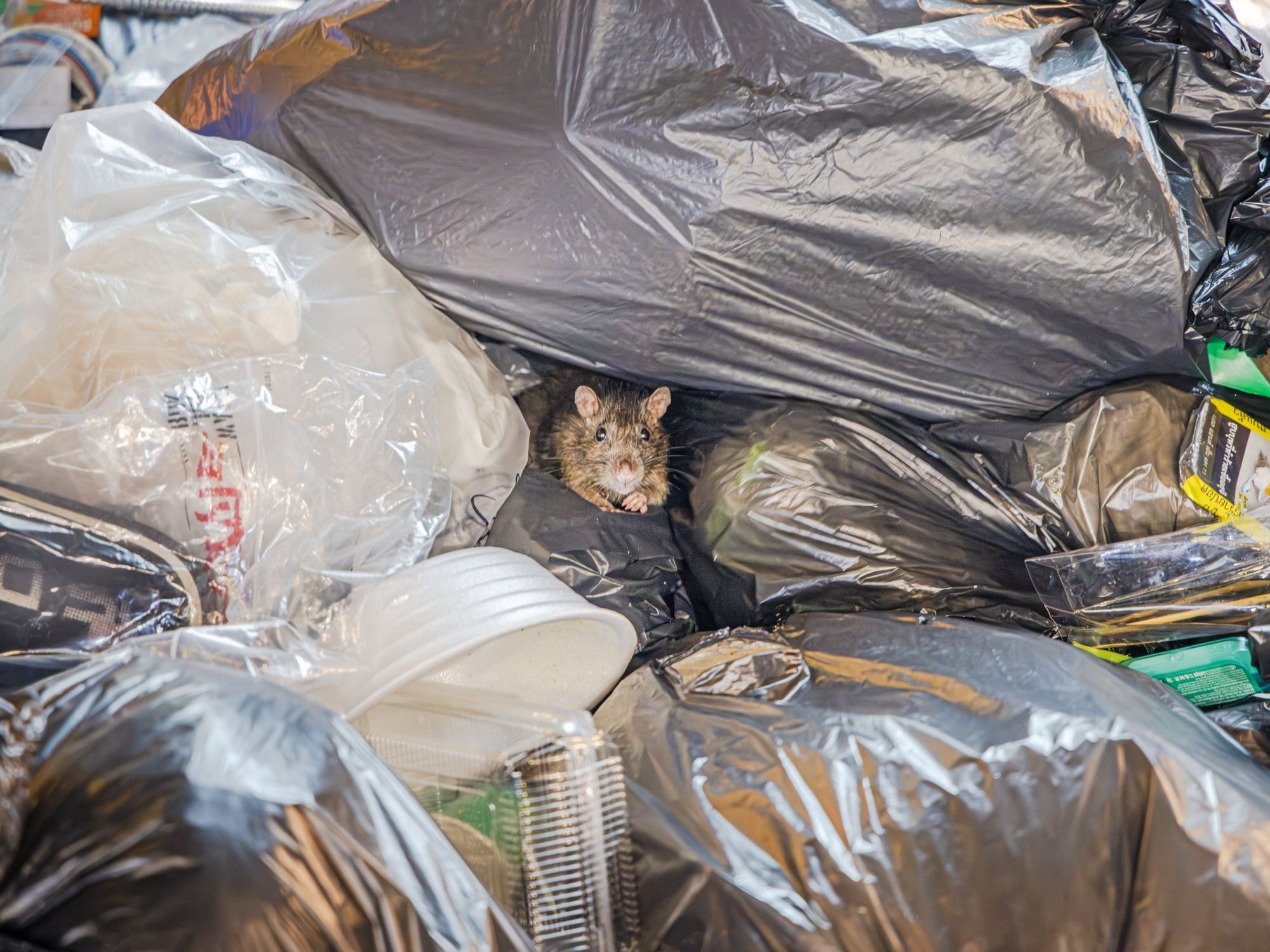 Bin bags