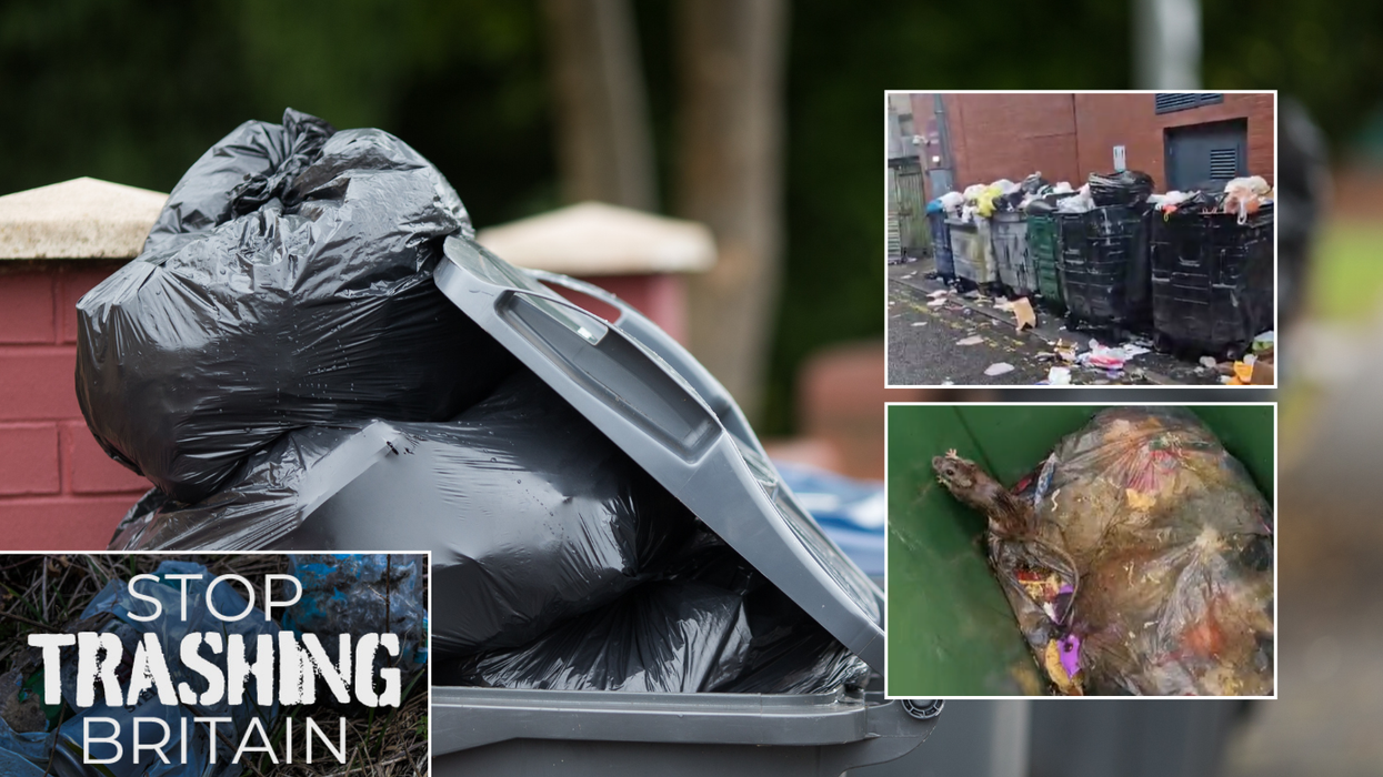 Bins overflowing/Rats