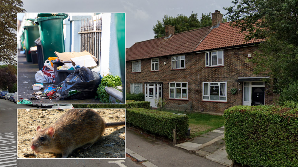 Bins/rat/Hillmore Grove