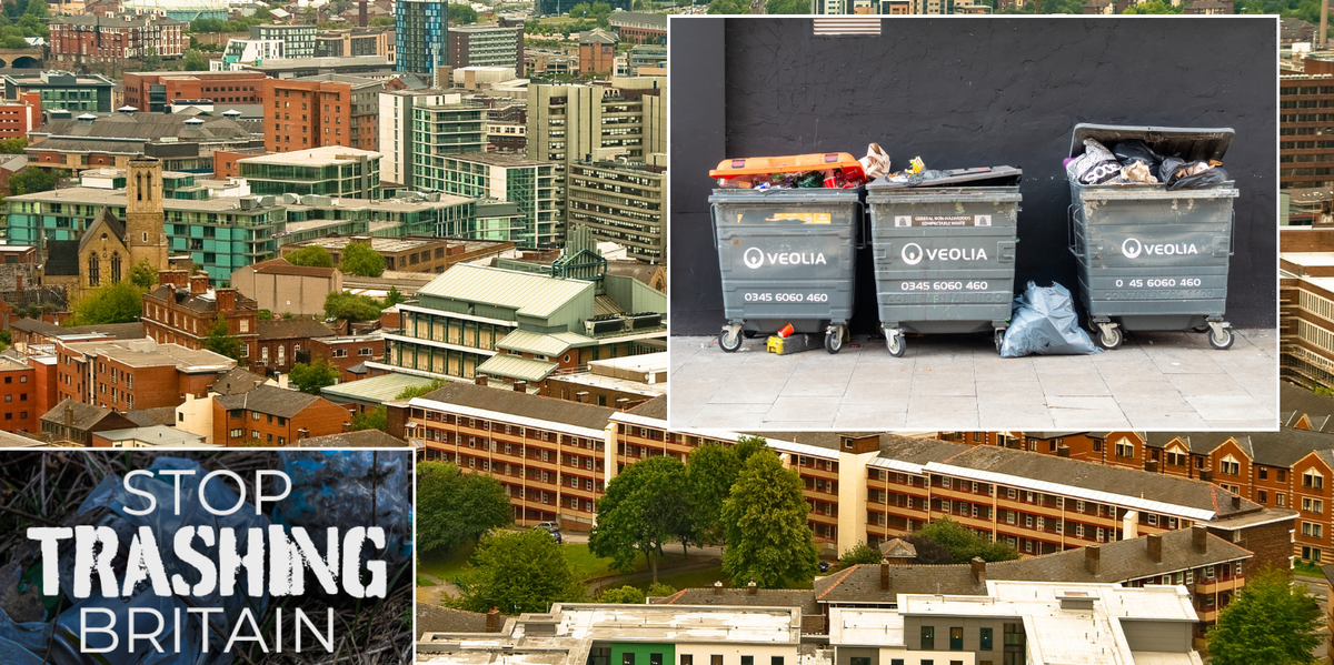 NextImg:'Epidemic' of overflowing bins in Sheffield attracting rats and deterring visitors