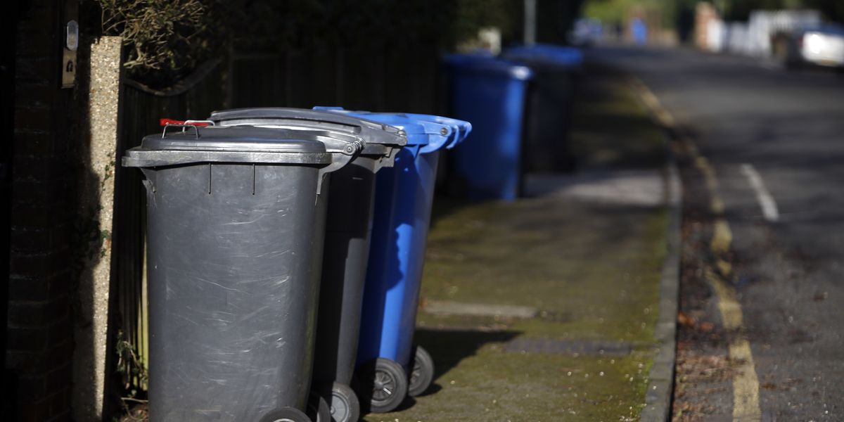 Wiltshire council to force every home to use FIVE bins by 2027 Wiltshire council to force every home to use FIVE bins by 2027