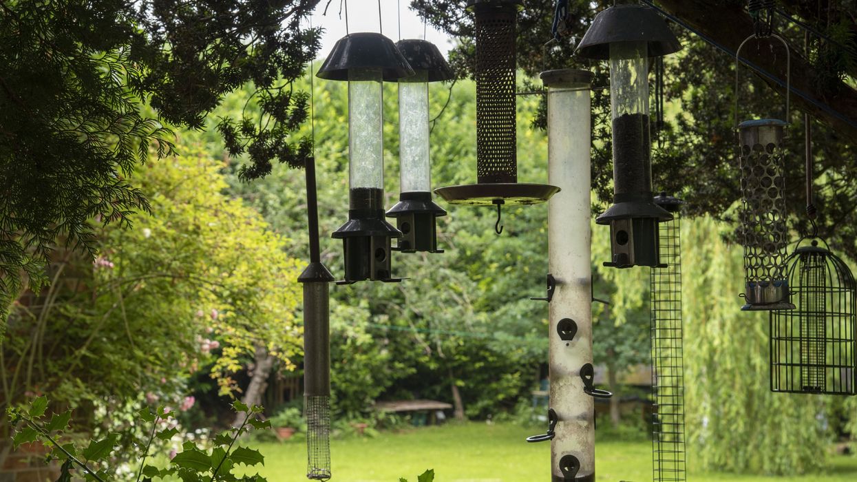 Bird feeders