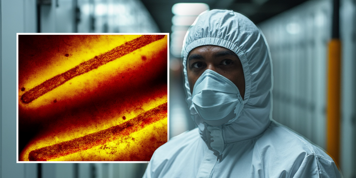 NextImg:Bird flu outbreak: First human case of avian influenza confirmed in England