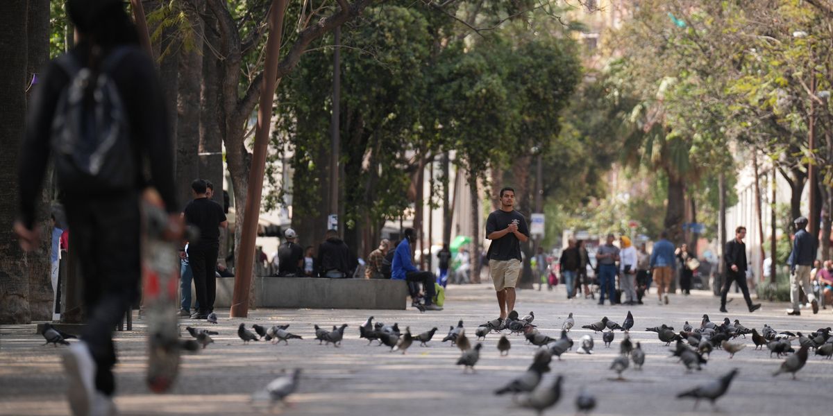 City birds fear women more than men, leaving scientists baffled as to why