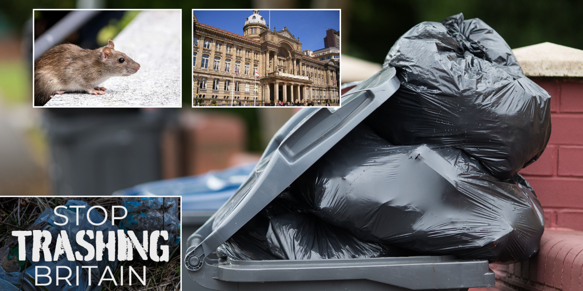 NextImg:Birmingham council told to scrap controversial 'rat tax' amid ongoing bin strikes