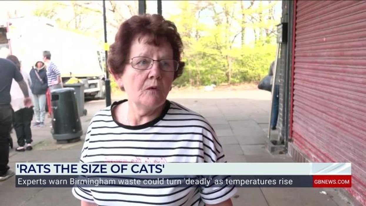 Birmingham bin strikes: 74-year-old local forced to lug rubbish bags up hill for collection - ‘I don’t know what we’re paying for’