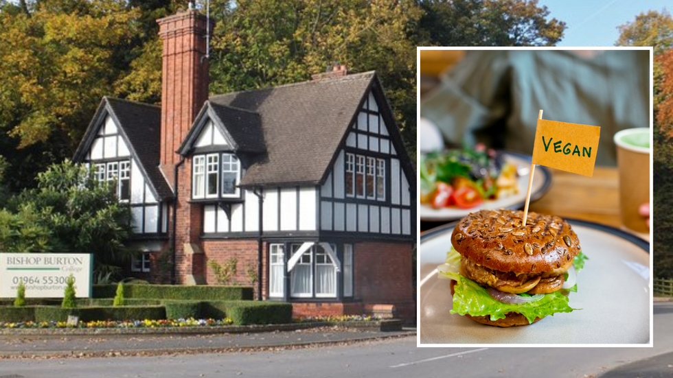 Bishop Burton College/Vegan burger