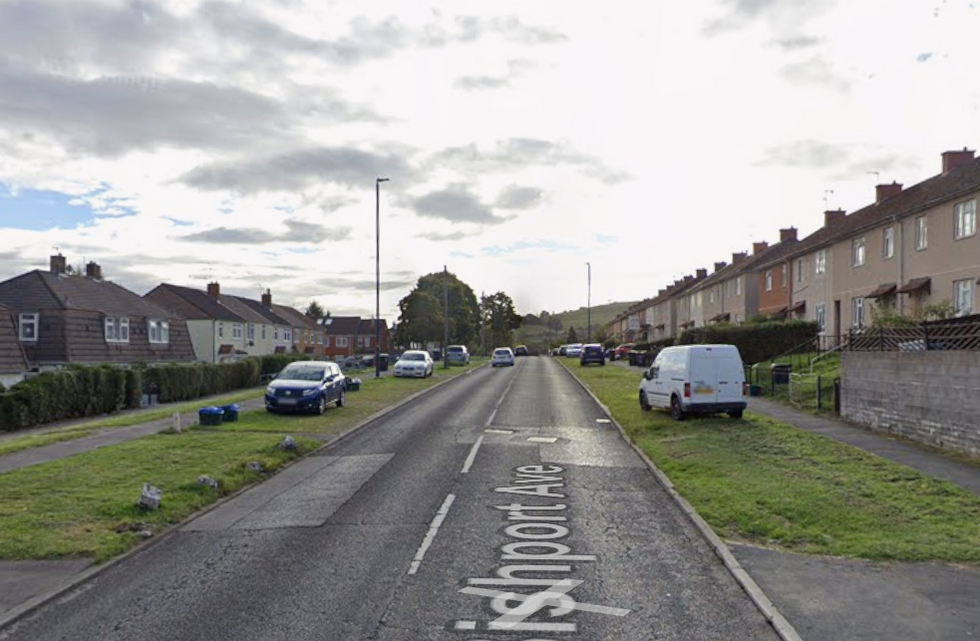 Bishport Avenue