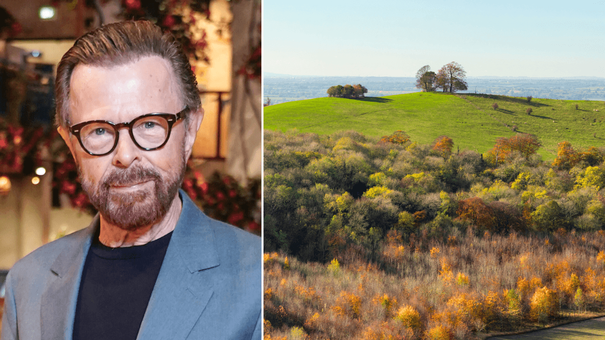 Bjorn Ulvaeus Chiltern