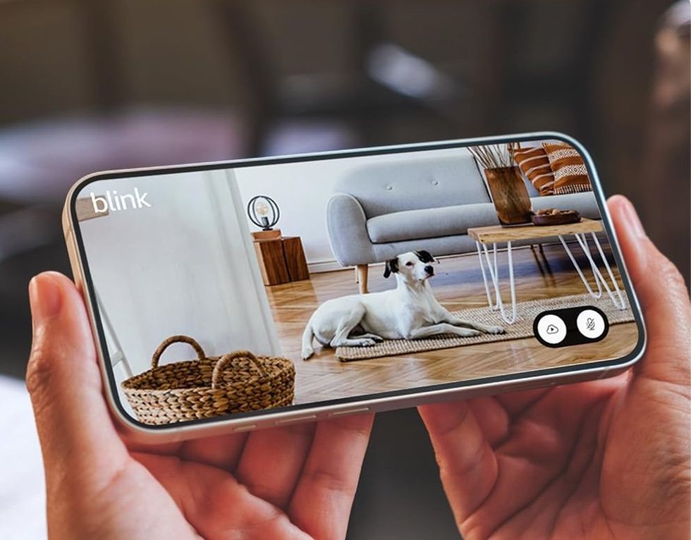 Blink video security footage
