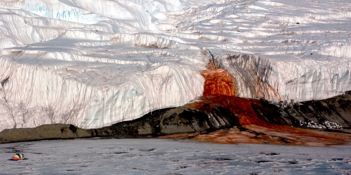 NextImg:Antarctica's 'bleeding waterfalls' mystery unmasked as scientists reveal secrets behind natural phenomena