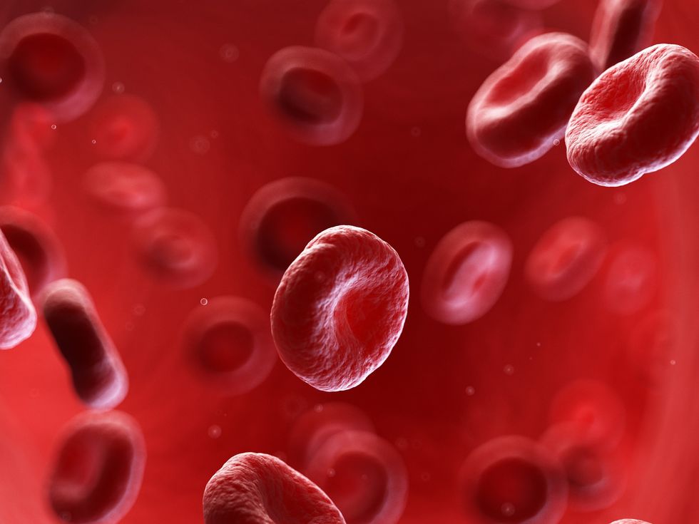 Most cancers: Individuals with explicit blood varieties usually tend to develop most cancers
