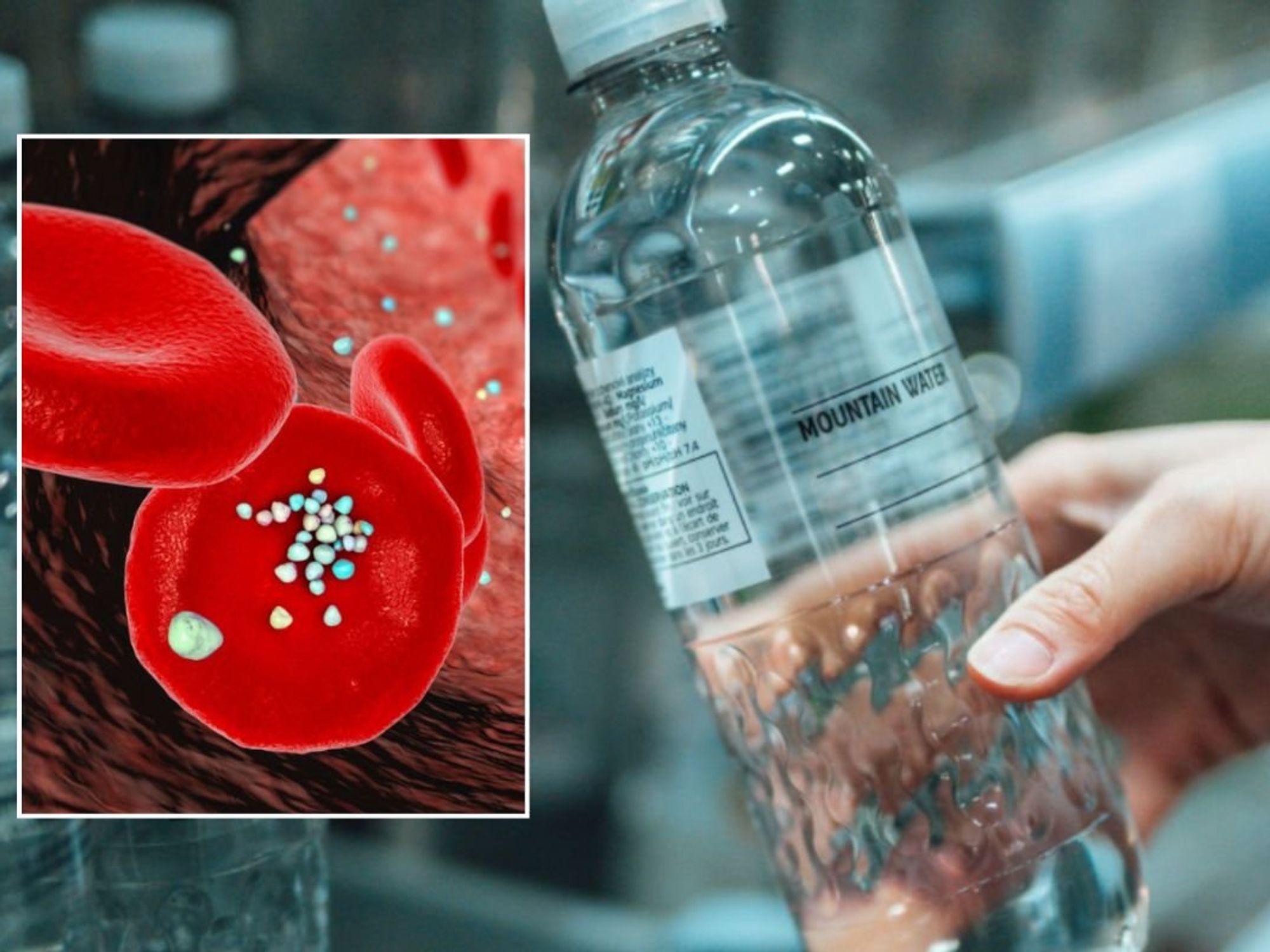 BLOOD MICROPLASTIC ILLUSTRATION