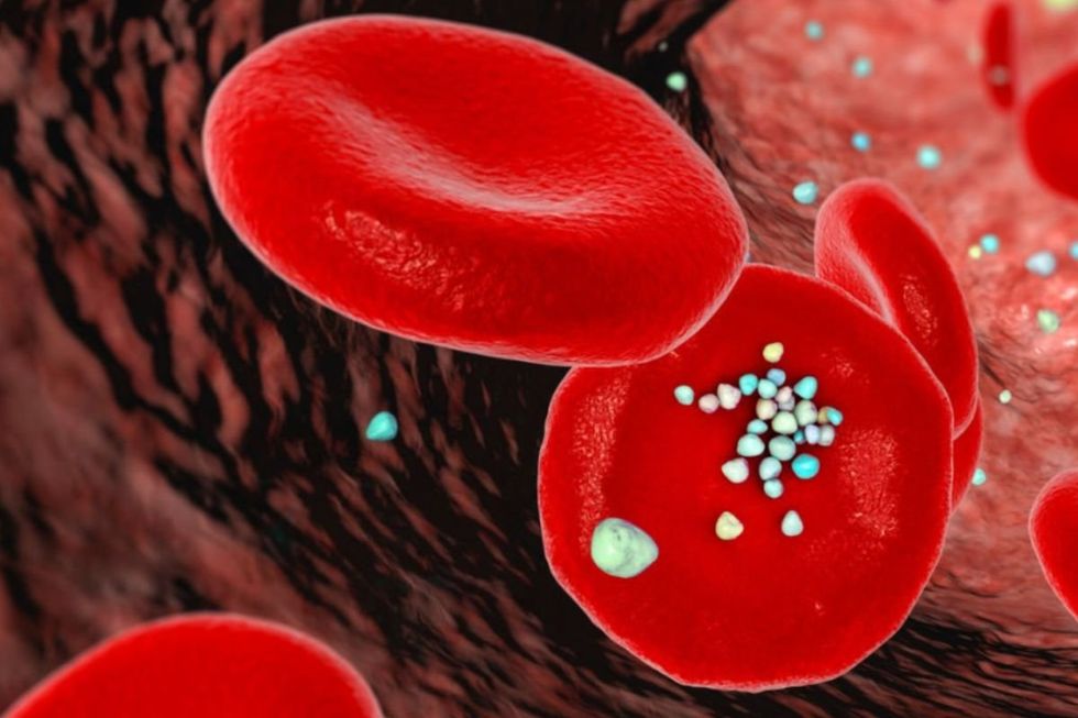 BLOOD MICROPLASTIC ILLUSTRATION