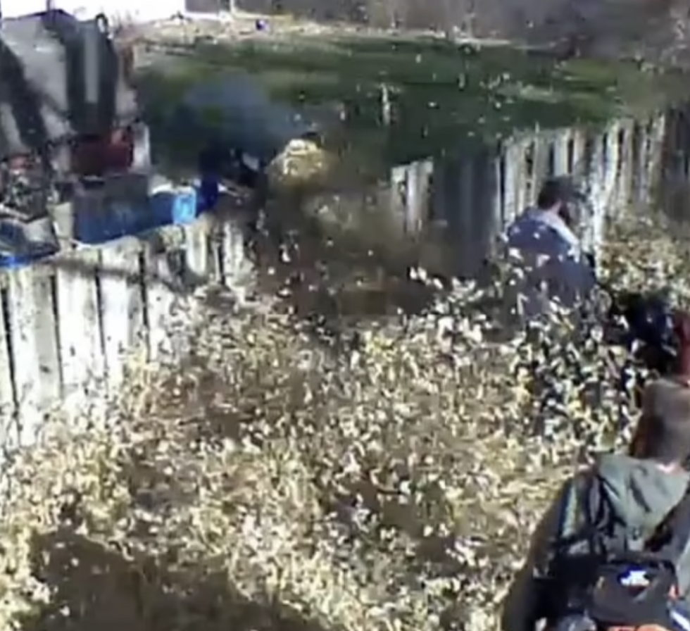 Blowing leaves