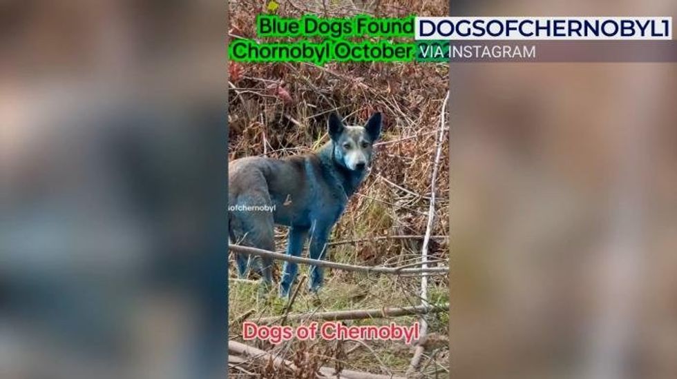 How the Chernobyl nuclear disaster forever changed our understanding of British skies