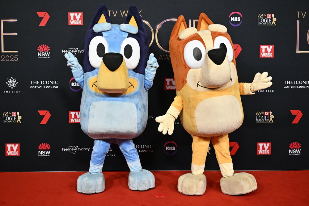 Bluey and Bingo