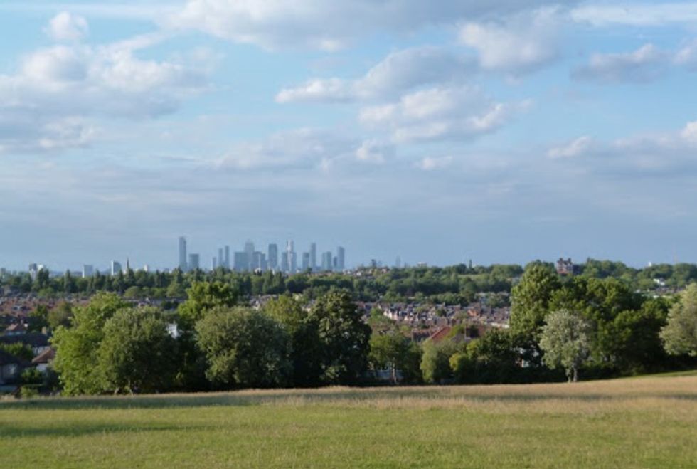Blythe Hill Fields