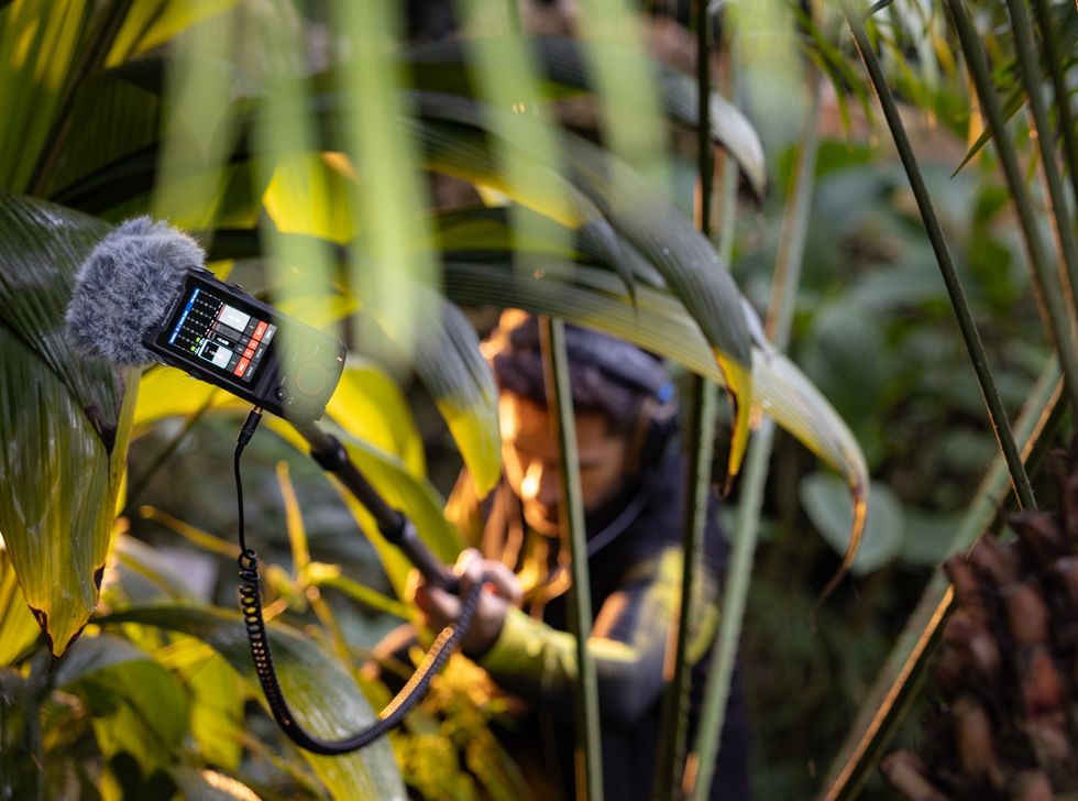 BMW team recording sound of tree