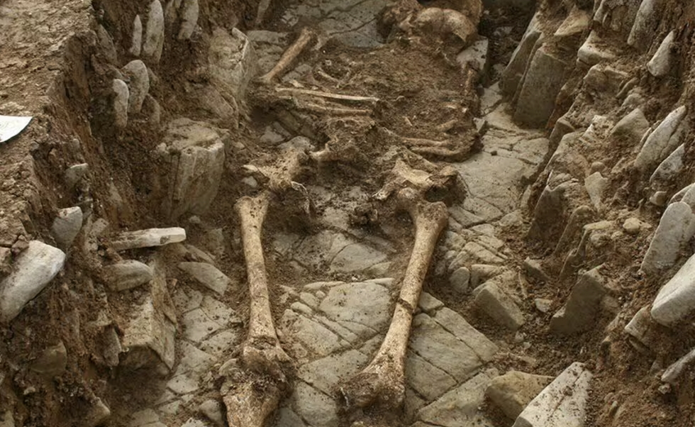 Bones uncovered