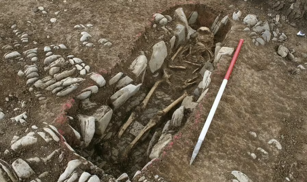 Bones unearthed