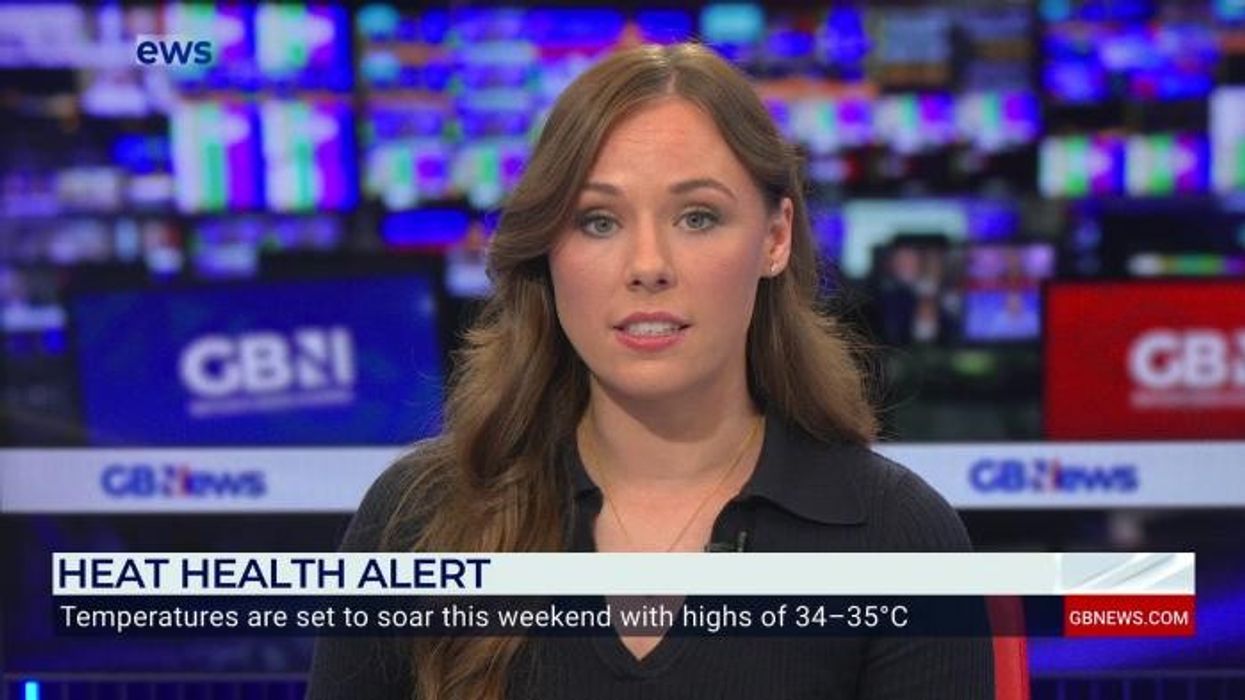 Border Force discover Lithuanian lorry filled with '170kg of ketamine and arsenal of deadly firearms'