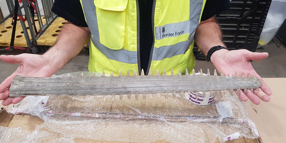 NextImg:Border Force seizes thousands of illegal wildlife items including products containing crocodile blood and caviar