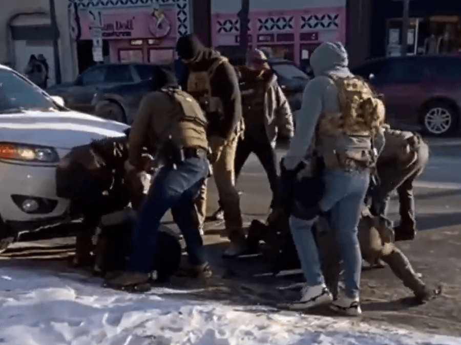 Border Patrol agents apprehending Alex Pretti