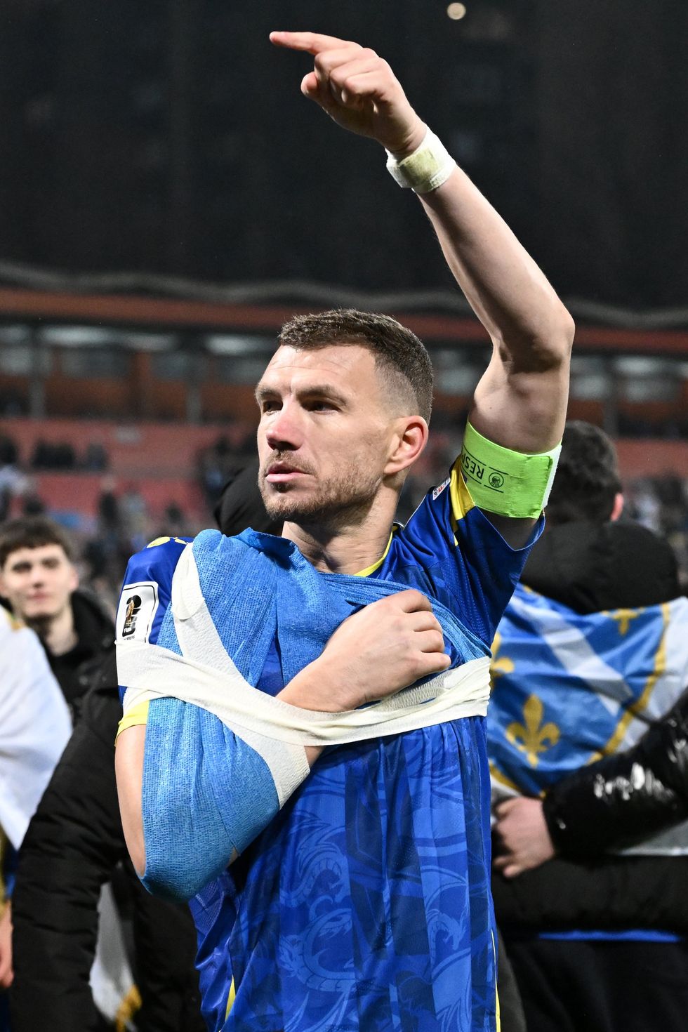 Bosnia were jubilant after qualifying for this summer's World Cup