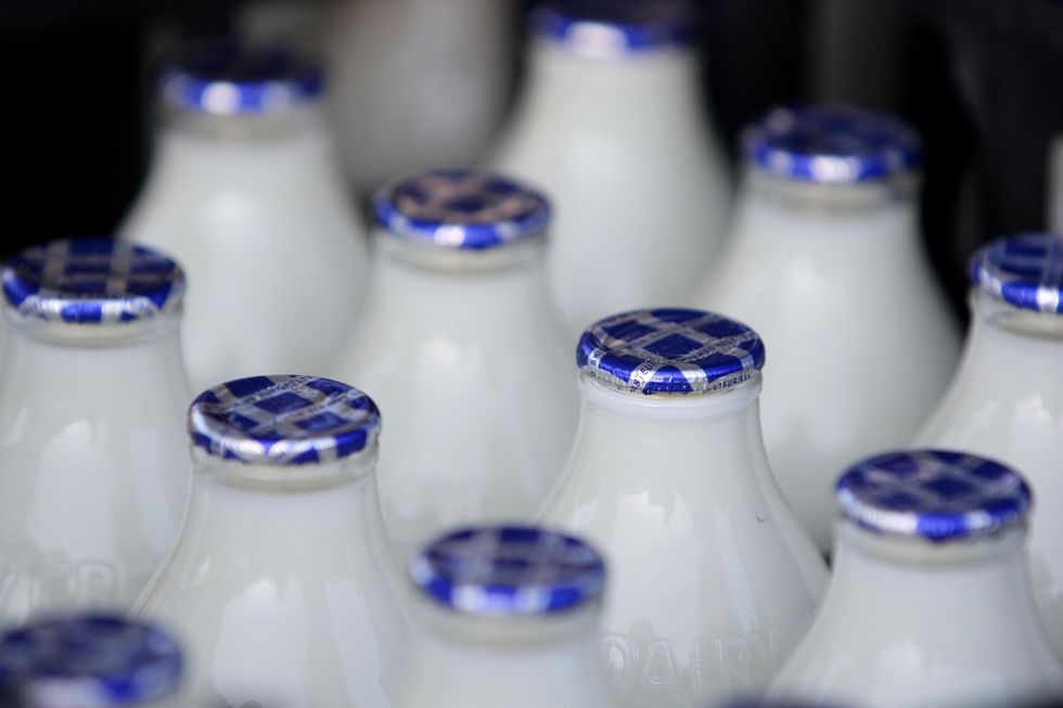BOTTLE OF MILK