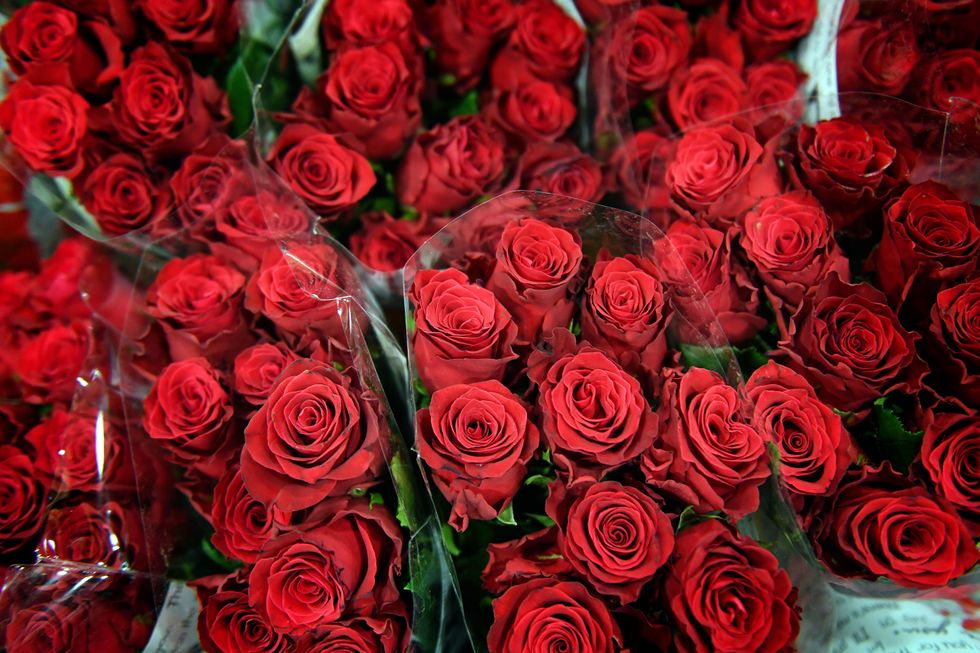Bouquets of red roses