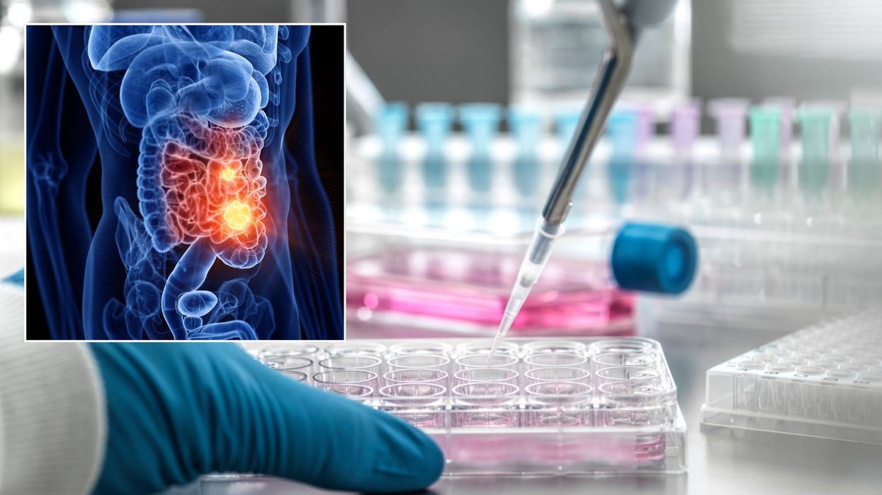 bowel map and scientist