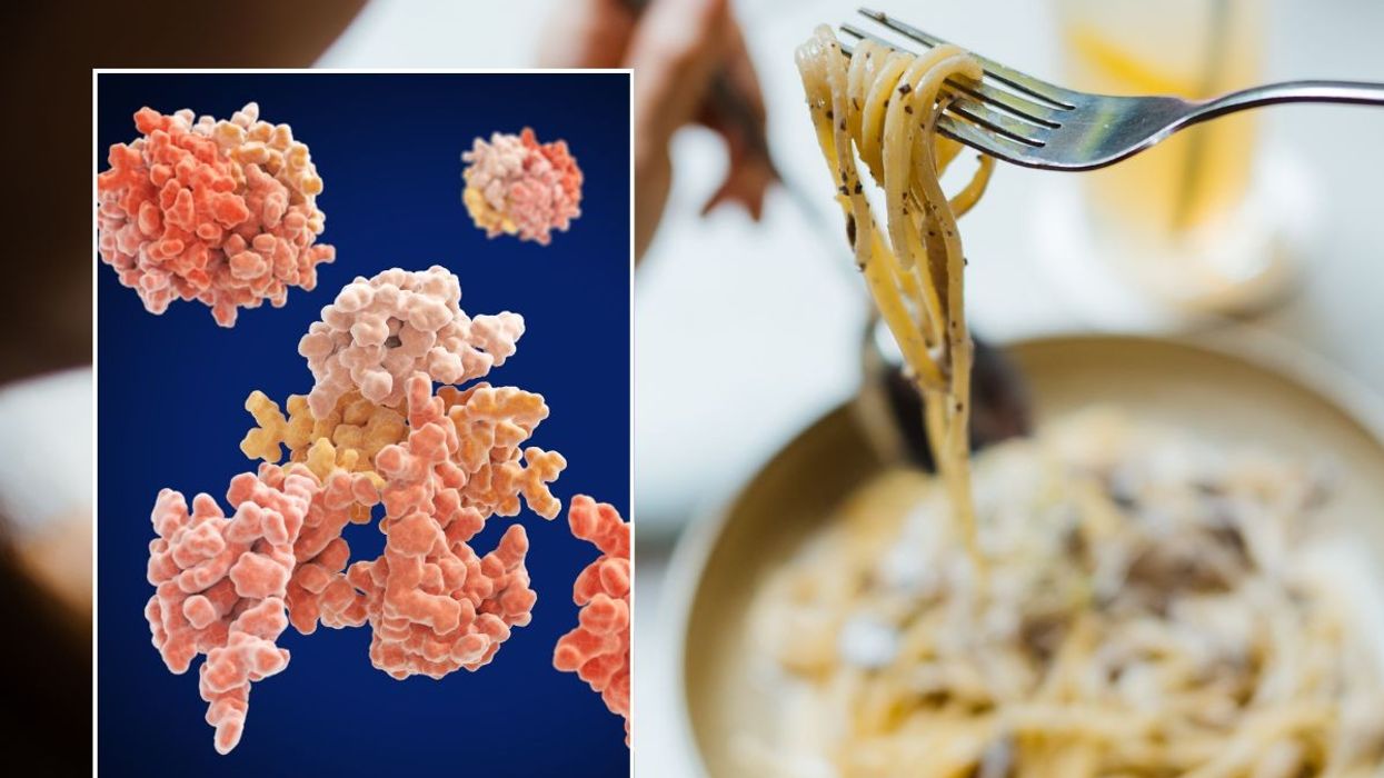 BOWL OF PASTA AND INSULIN