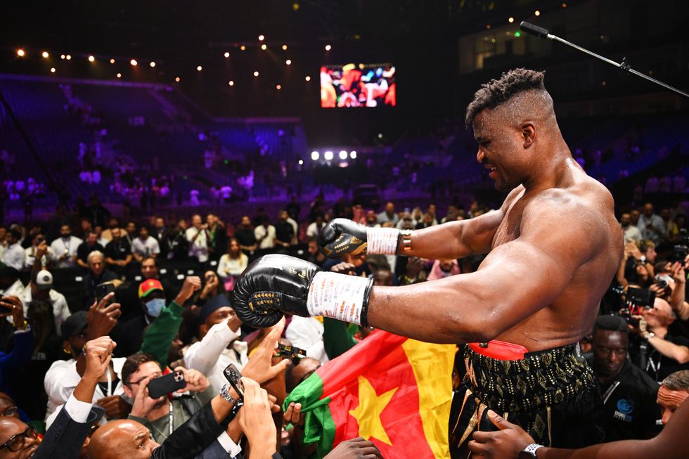 Boxing news Francis Ngannou