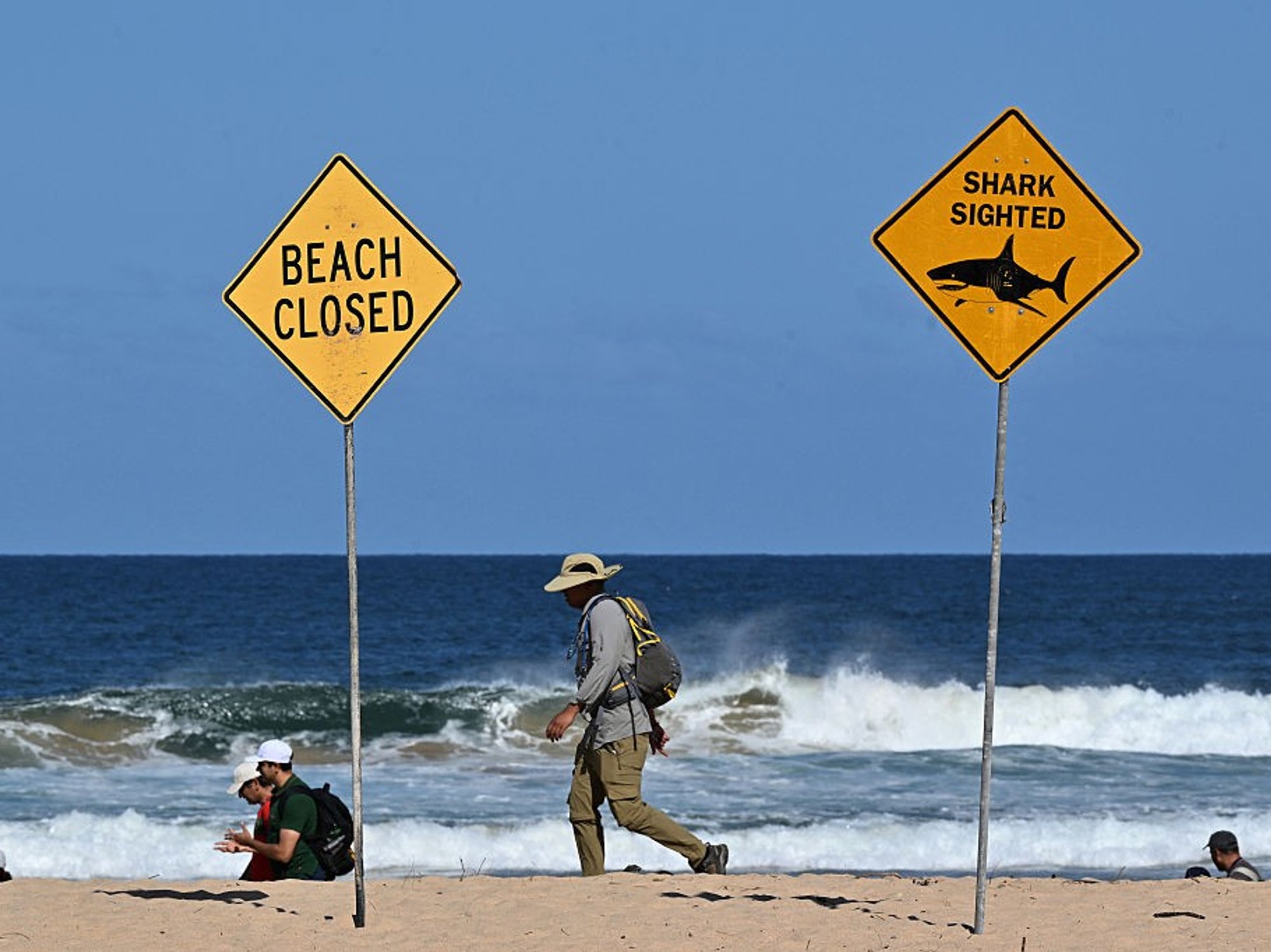 Boy, 12, dies after shark attack in Sydney Harbour